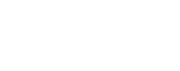 Webdiz